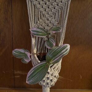 Handcrafted Macramé Plant Hanger